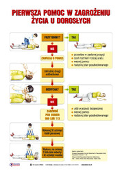 Edukacja prozdrowotna - Pierwsza pomoc w nagłych wypadkach 4 plansze