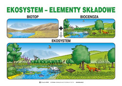 Edukacja ekologiczna , 20 plansz 50x70cm