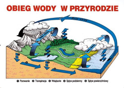 Przyroda dla szkoły podstawowej Kl.IV-VI, część II, 22 plansz