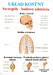 Anatomia i fizjologia człowieka,  20 plansz