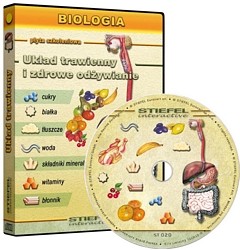 Układ trawienny i zdrowe odżywianie