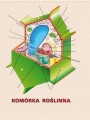 komórki jednostki życia