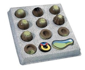 Rozwój Zarodka Model anatomiczny 1002501 [T12009]