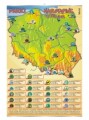 Parki narodowe w Polsce  plansza dydaktyczna