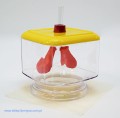 Model procesu oddychania