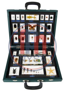 Królestwo zwierząt 27 okazów