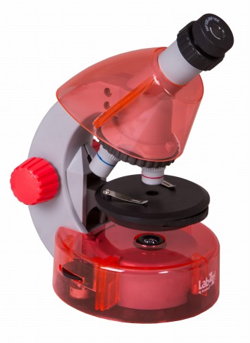 Mikroskop Levenhuk LabZZ M101