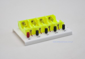 Zasilacz bateryjny 4 napięciowy