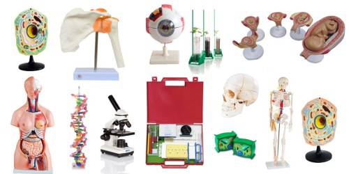 Pracownie biologiczne