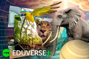 Eduverse+ Licencja dostępu do portalu edukacyjnego ClassVR