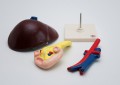 Model anatomiczny wątroby oraz trzustki z dwunastnicą