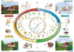 Rytmy przyrody - ścienna plansza dydaktyczna