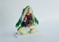 Model anatomiczny żaby - żaba