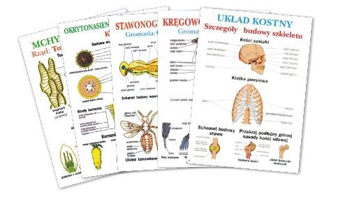 Biologia dla gimnazjum plansze dydaktyczne