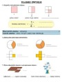 Matematyka przykładowa karta pracy