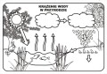 Pomoce dydaktyczne Las i ochrona środowiska 