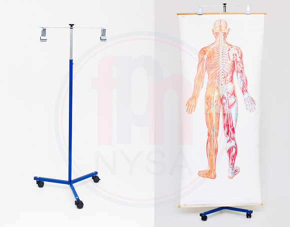 Mobilny stojak do zawieszania map i plansz na kółkach