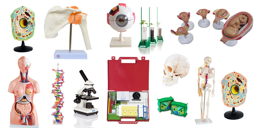 Pracownie biologiczne